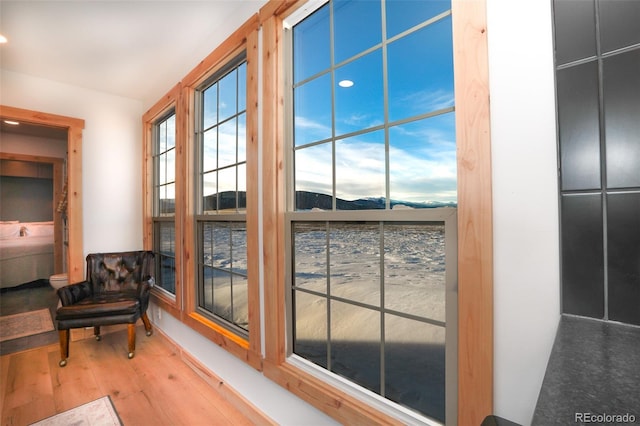 entryway with a mountain view and wood-type flooring