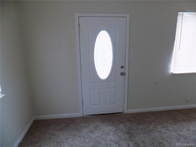 carpeted foyer featuring a healthy amount of sunlight