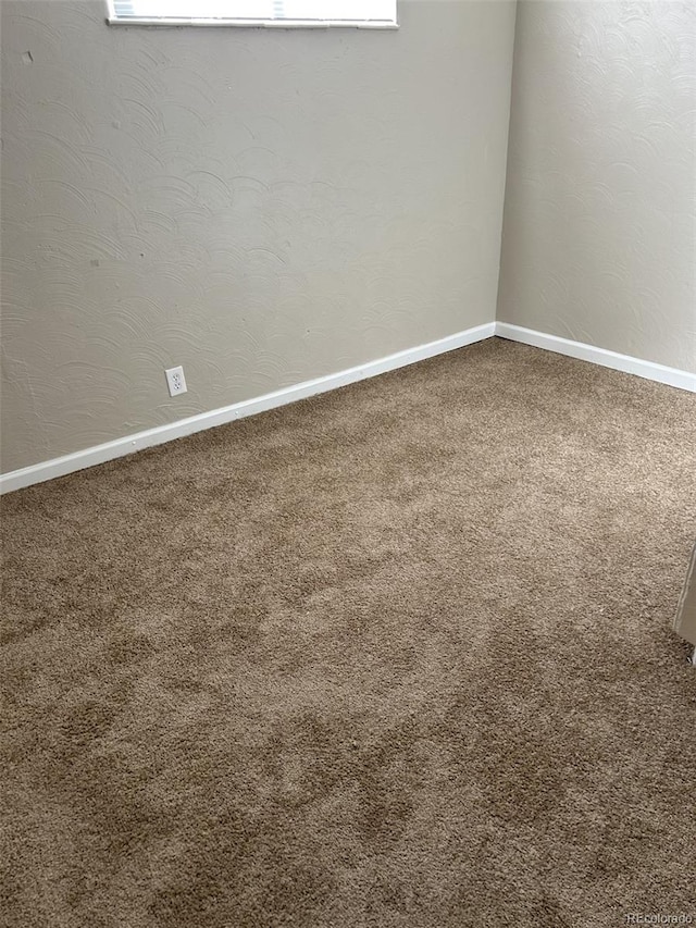 spare room with carpet flooring