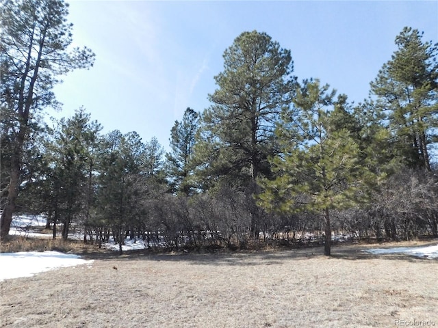 7347 Fremont Pl, Larkspur CO, 80118 land for sale