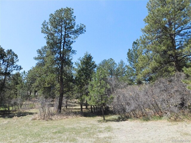 7347 Fremont Pl, Larkspur, CO 80118