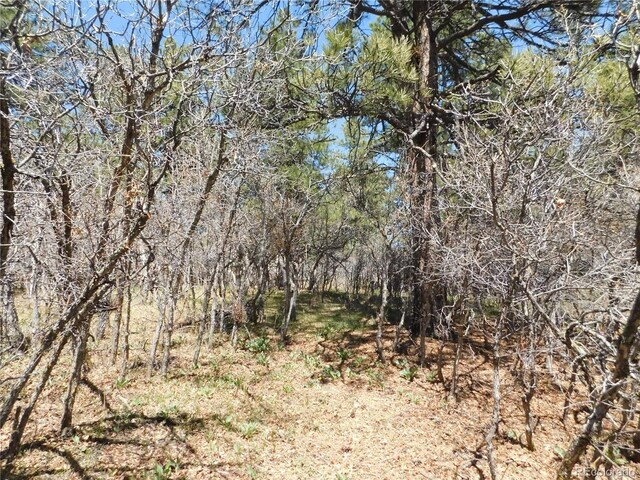 7347 Fremont Pl, Larkspur, CO 80118
