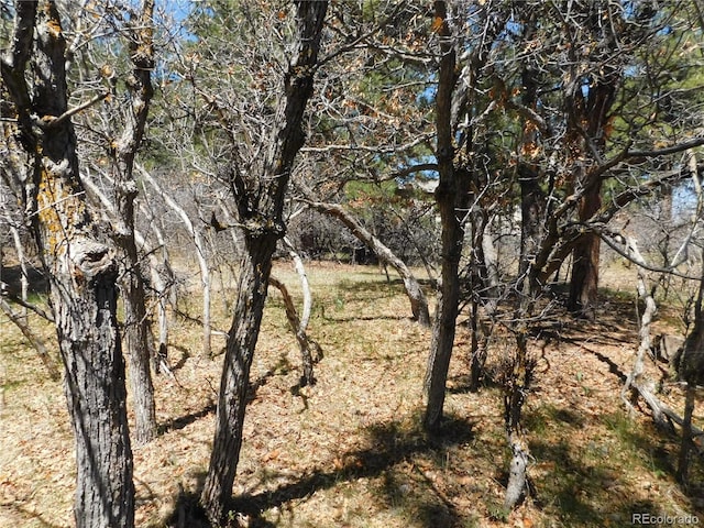 7347 Fremont Pl, Larkspur, CO 80118