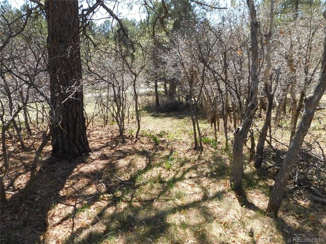 7347 Fremont Pl, Larkspur, CO 80118