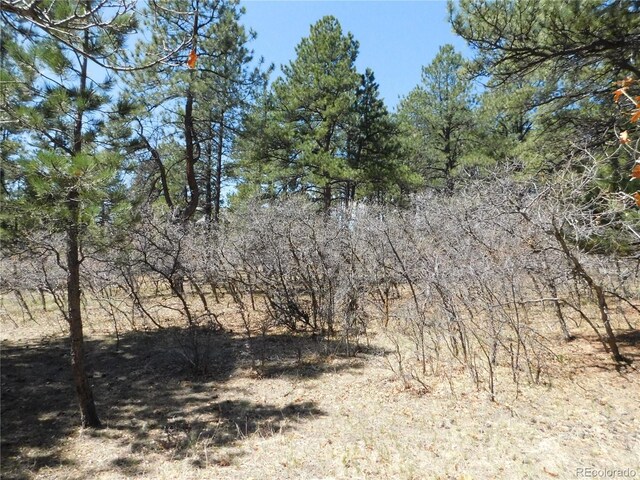 7347 Fremont Pl, Larkspur, CO 80118