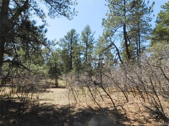 7347 Fremont Pl, Larkspur, CO 80118