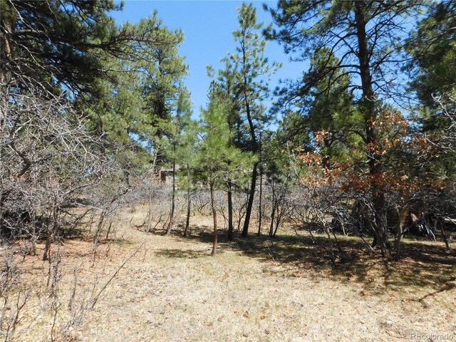 7347 Fremont Pl, Larkspur, CO 80118
