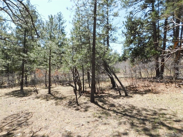 7347 Fremont Pl, Larkspur, CO 80118