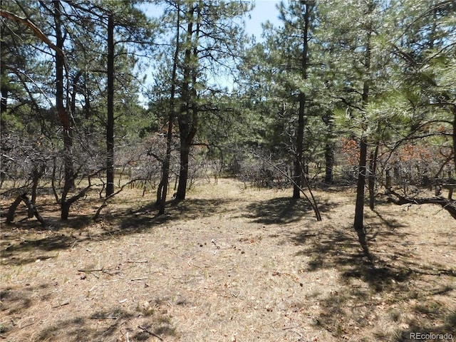 7347 Fremont Pl, Larkspur, CO 80118