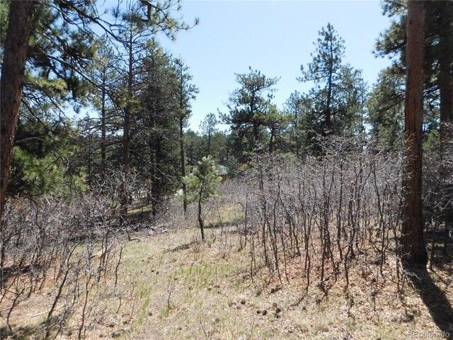 7347 Fremont Pl, Larkspur, CO 80118