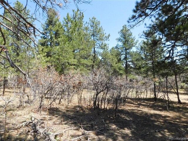 7347 Fremont Pl, Larkspur, CO 80118