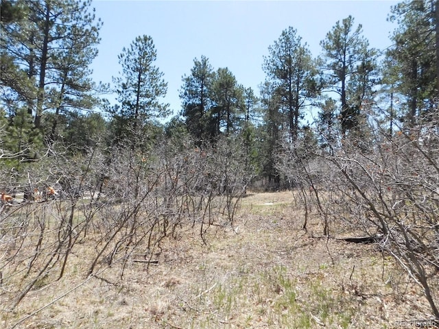 7347 Fremont Pl, Larkspur, CO 80118