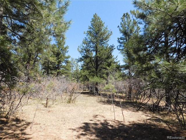 7347 Fremont Pl, Larkspur, CO 80118
