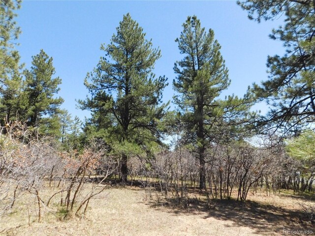 7347 Fremont Pl, Larkspur, CO 80118