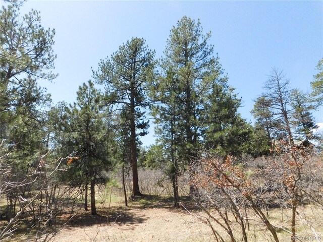 7347 Fremont Pl, Larkspur, CO 80118
