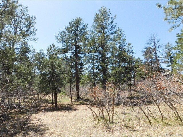 7347 Fremont Pl, Larkspur, CO 80118