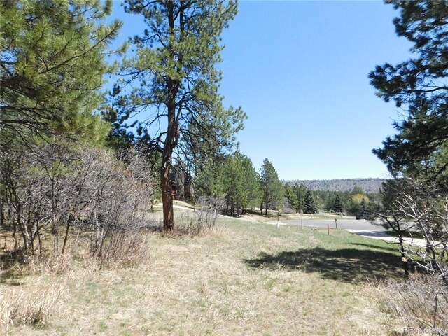 7347 Fremont Pl, Larkspur, CO 80118