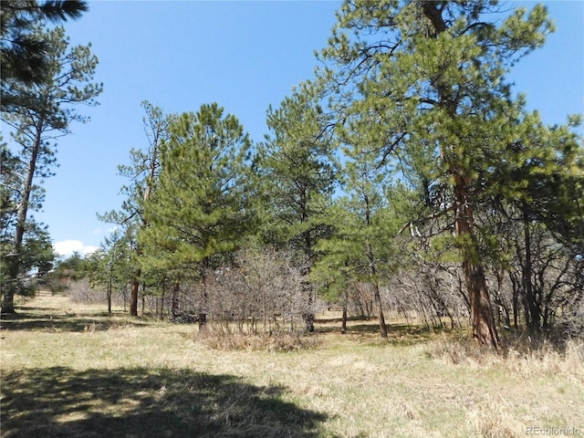 7347 Fremont Pl, Larkspur, CO 80118