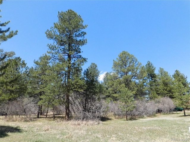 7347 Fremont Pl, Larkspur, CO 80118