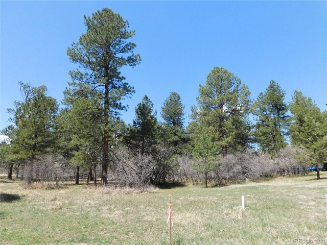 7347 Fremont Pl, Larkspur, CO 80118