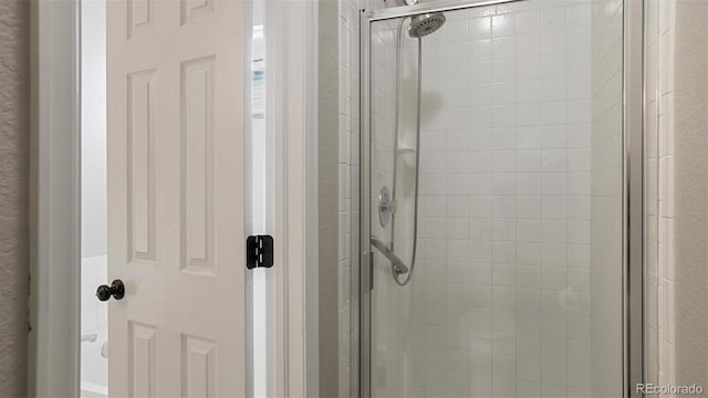 bathroom featuring a shower with shower door