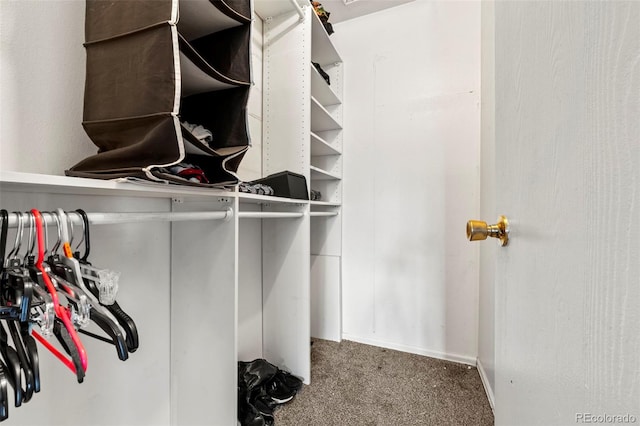 walk in closet with carpet