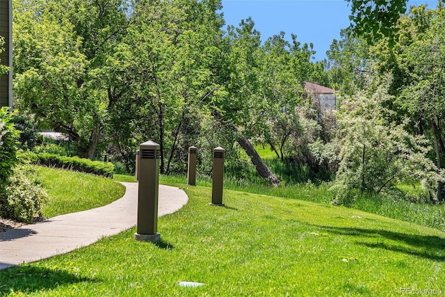 8039 Lee Dr Unit 2, Arvada, CO 80005 - view of community with a yard