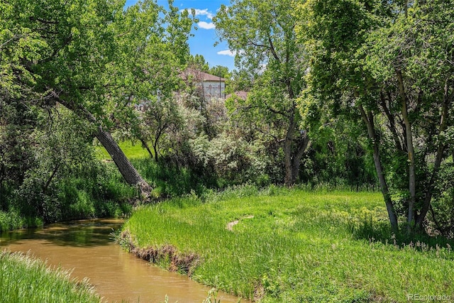 8039 Lee Dr Unit 2, Arvada, CO 80005 - view of local wilderness
