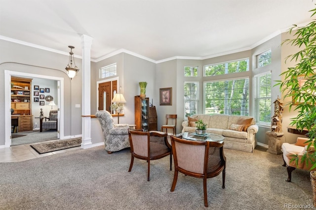 3145 Stevens Cir, Erie, CO 80516 - carpeted living room with ornamental molding and decorative columns