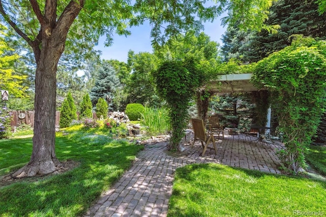 3145 Stevens Cir, Erie, CO 80516 - view of yard with a patio