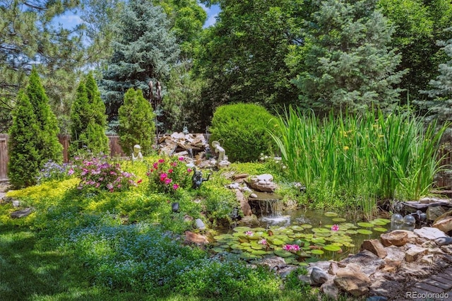 3145 Stevens Cir, Erie, CO 80516 - view of yard