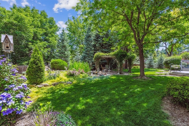 3145 Stevens Cir, Erie, CO 80516 - view of grassy yard