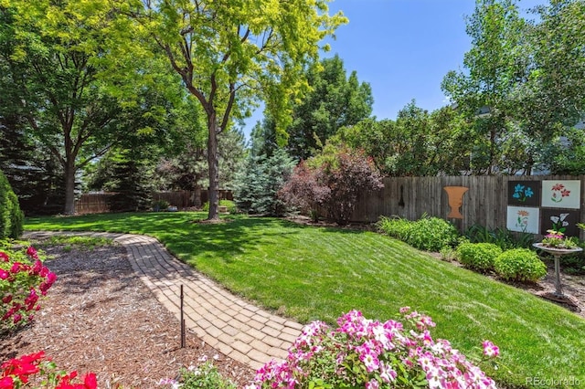 3145 Stevens Cir, Erie, CO 80516 - view of yard