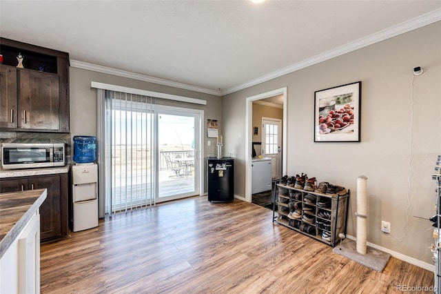 kitchen featuring a healthy amount of sunlight, dark brown cabinets, and light hardwood / wood-style flooring