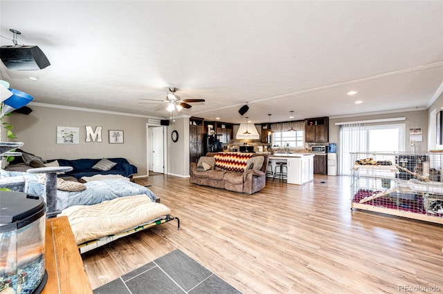 bedroom with crown molding and light hardwood / wood-style floors