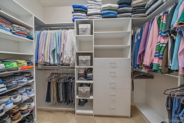 spacious closet with light colored carpet