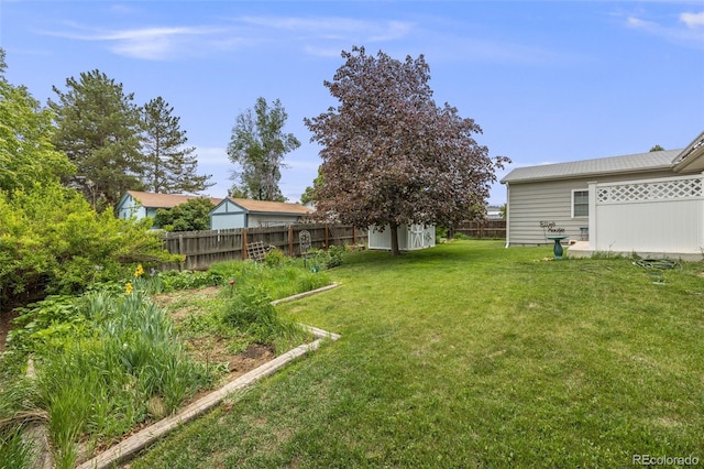 3058 W 134th Way, Broomfield, CO 80020 - view of yard