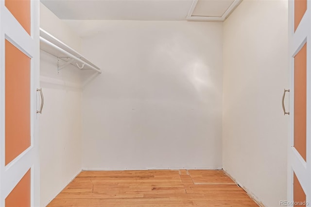 305 Titan St, Aurora, CO 80011 - spacious closet featuring light wood-type flooring and attic access