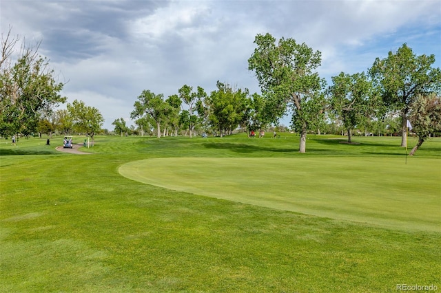 305 Titan St, Aurora, CO 80011 - surrounding community featuring a yard and view of golf course