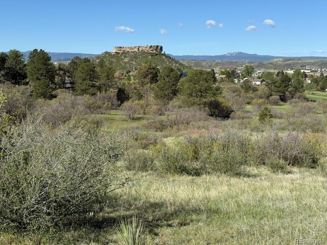 2369 Bayberry Ln, Castle Rock, CO 80104 - mountain view