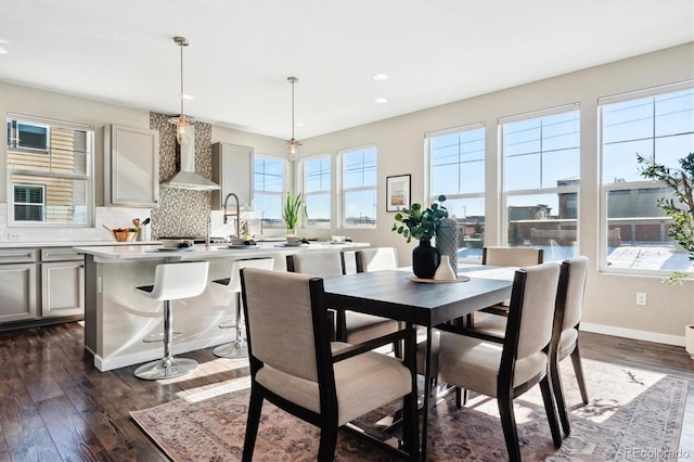 dining area featuring dark wood-type flooring