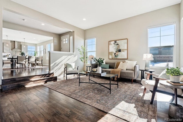 living room with wood-type flooring