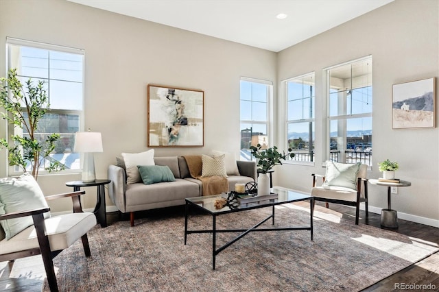 living room featuring dark wood-type flooring