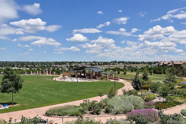 view of home's community with a yard