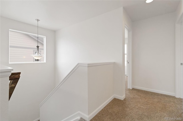 hallway featuring carpet floors