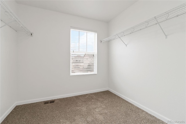 walk in closet with carpet flooring