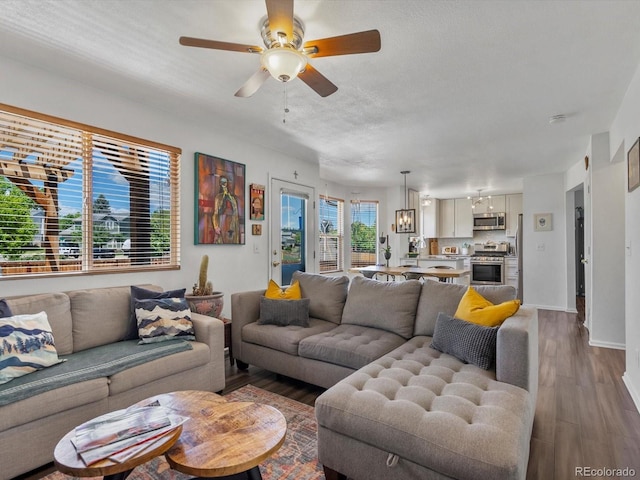 2006 E 97th Ave, Thornton, CO 80229 - living area with wood finished floors, ceiling fan, and baseboards