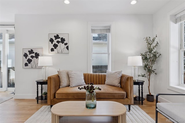 living room featuring light hardwood / wood-style floors and a wealth of natural light