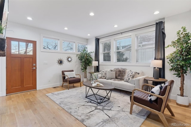 living room featuring light hardwood / wood-style floors