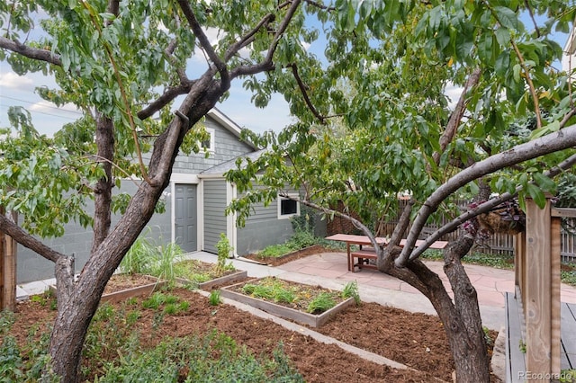 view of yard with a patio